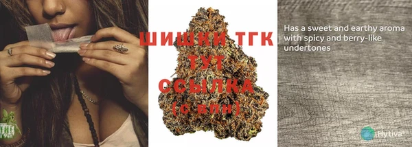 первитин Богородицк